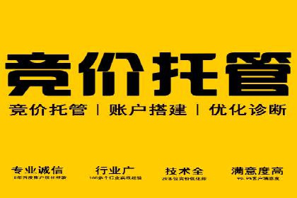 竞价推广开户策略解析：如何选择合适的平台